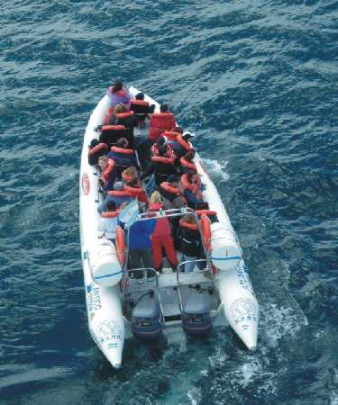 bote inflable semi rigido MOON WORK 1040 transporte personas carga turismo avistaje ballenas delfines